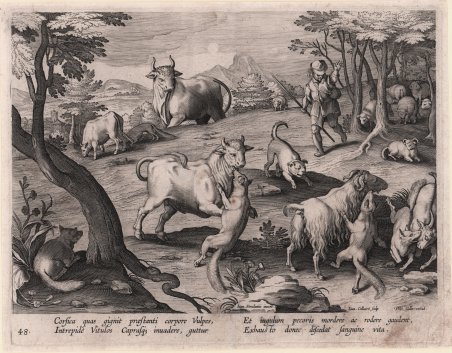 L'attacco delle volpi