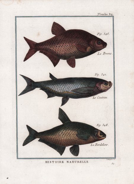 La Breme. Le Couteau. La Bordeliere.