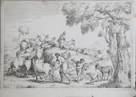 La mandria in cammino