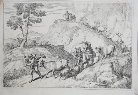 La mandria in cammino seguita dalla famiglia del pastore