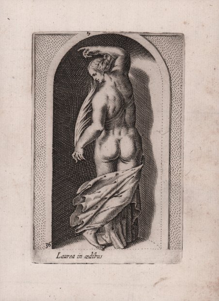 Laurea in aedibus [Menade]