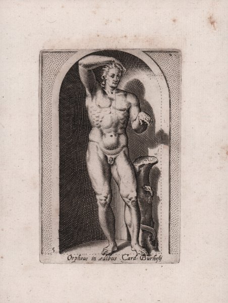 Orpheus in aedibus Card Burghesij [Apollo Liceo]