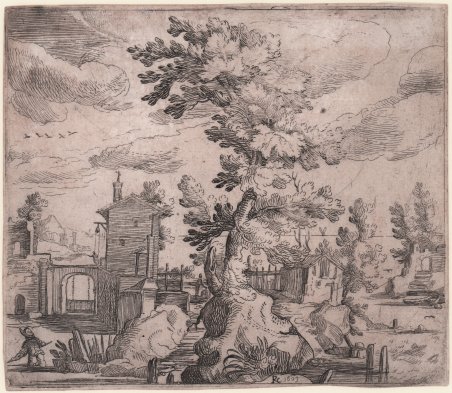 Paesaggio con grande albero