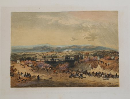 Lijnx - Lunchs / Canis Indico - Canis Indi - …