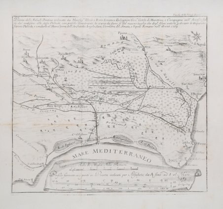 Pianta delle Paludi Pontine