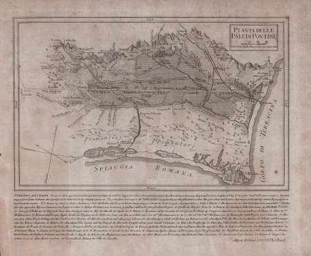 Pianta delle Paludi pontine | Immagine principale