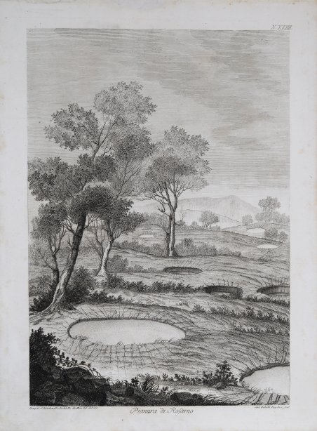 Pianura di Rosarno