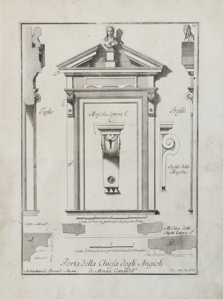 Aconito pardialanche (Aconito napello) | Immagine Gallery 2