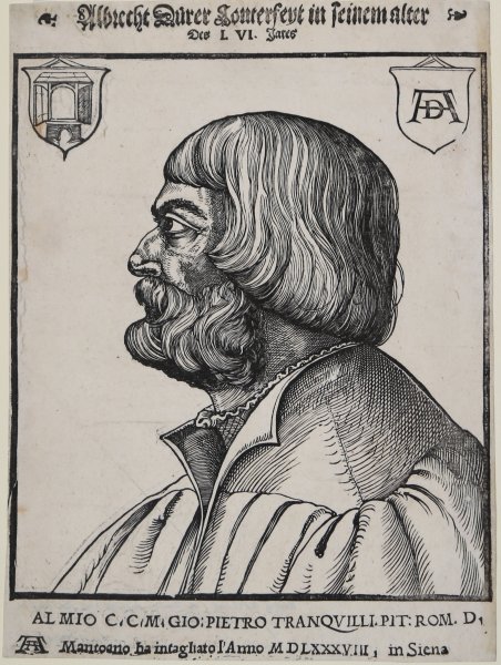 Ritratto di Albrecht Dürer nel suo 56° anno | Immagine principale