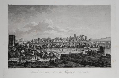 Ruines Colossales & debris des Temples de Selinunte