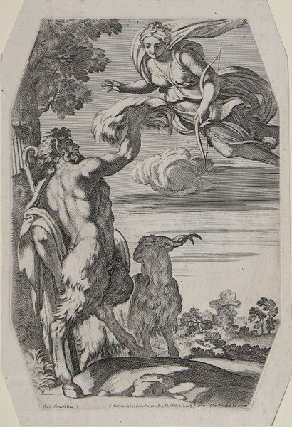 Il Dio Pan presenta una massa di bianca lana a …