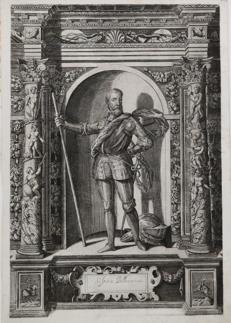 Sfortia Pallavicinus