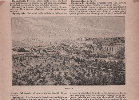 Spoleto