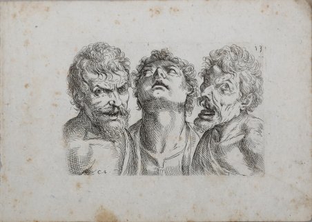 Studio di Teste | Immagine principale