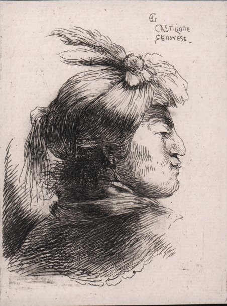 Testa all'orientale di profilo