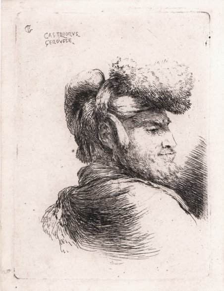 Testa d'uomo con barba volto a destra