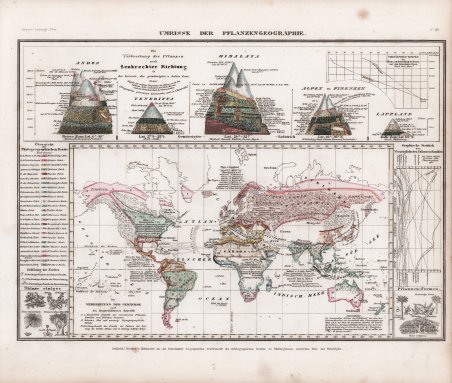 Umrisse der Pflanzengeographie