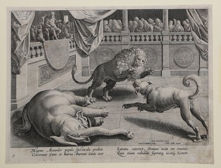 Un cane sconfigge nell’arena, al cospetto di Alessandro Magno, un …