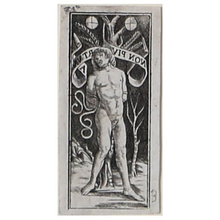 Uomo nudo legato ad un albero (Allegoria della sfortuna)