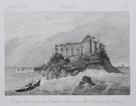 Bubalus Buffel / Alius Bubalo Taurus Sylvester / Urus Awer …