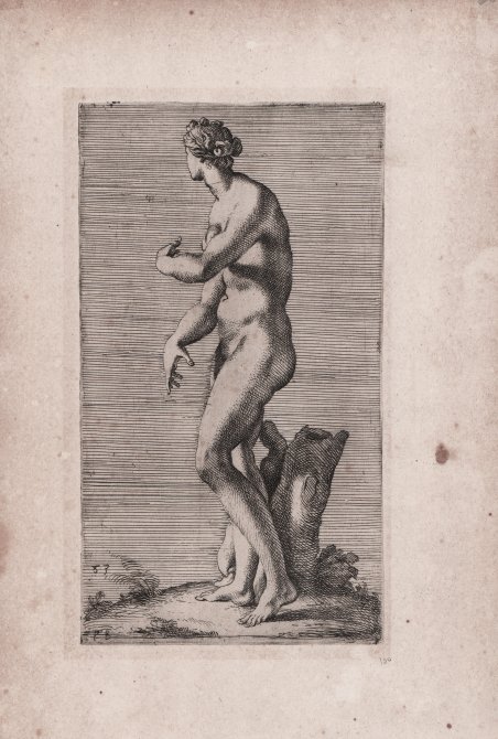 Venere dei Medici