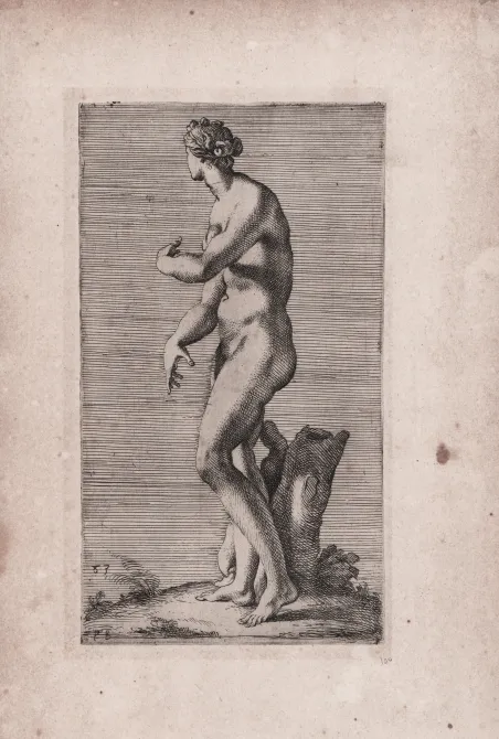 Venere dei Medici | Immagine principale