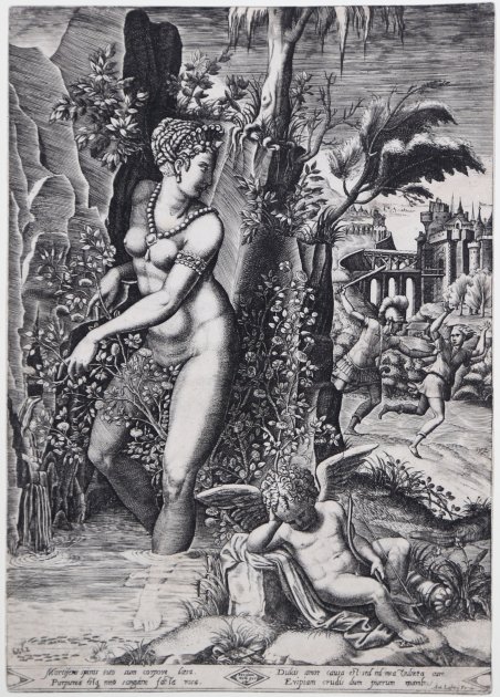Venere punta dalle spine