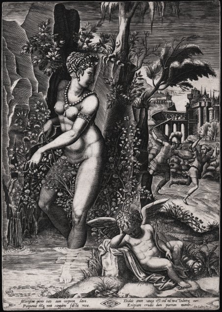 Venere punta dalle spine