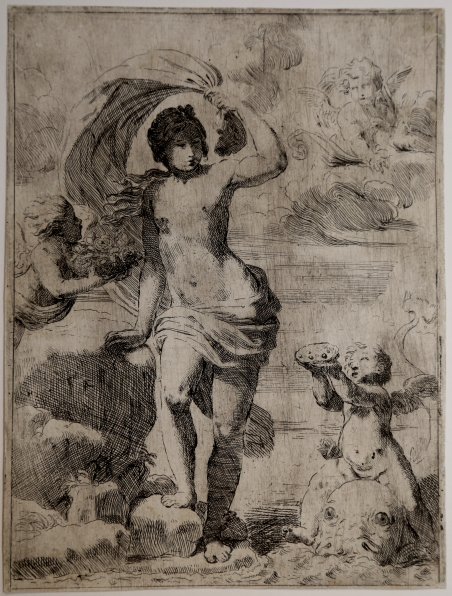 Venere sorge dal mare