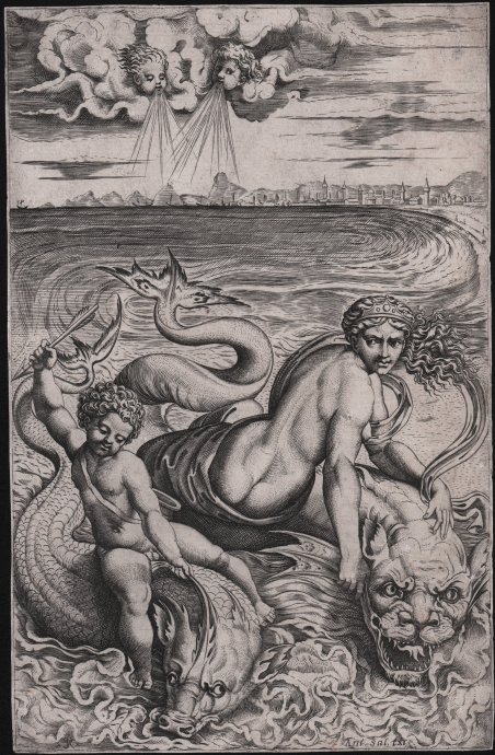 Venere sul delfino
