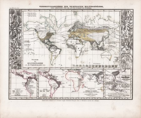 Verbreitungsbezirke der witchtigsten Kulturgewachse