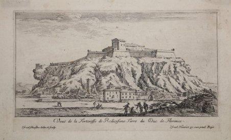 Veue de la Forteresse de Radicofane. Terre du Duc de …