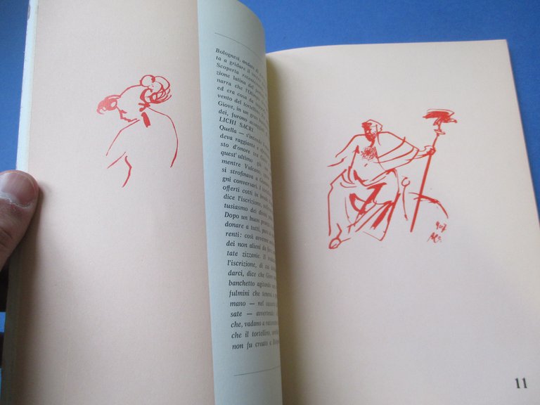 All’erta umbilichi sacri !