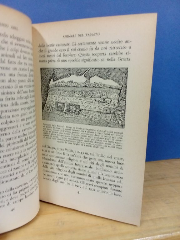 Animali del passato. | Immagine Gallery 2