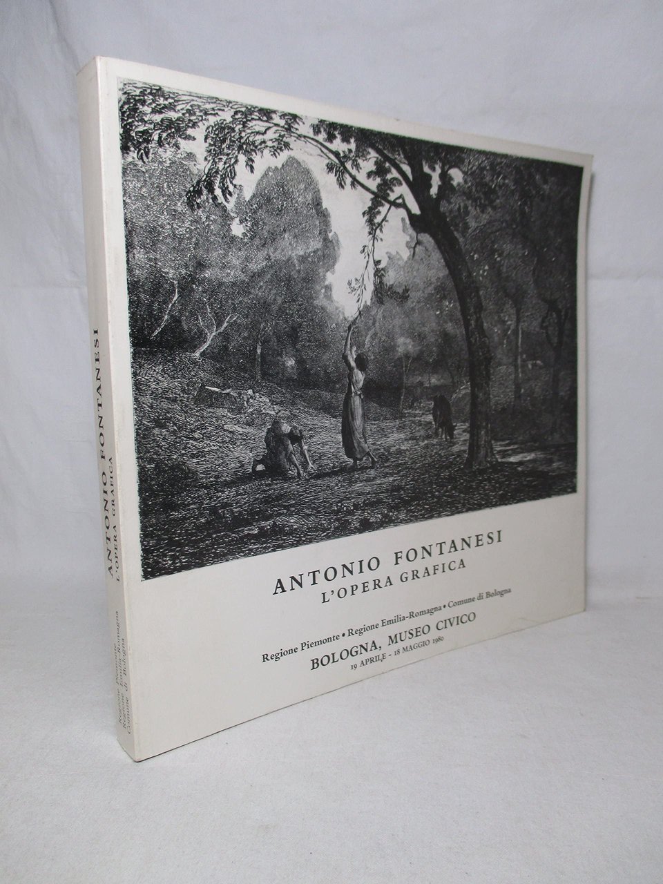 Antonio Fontanesi. L'opera grafica.
