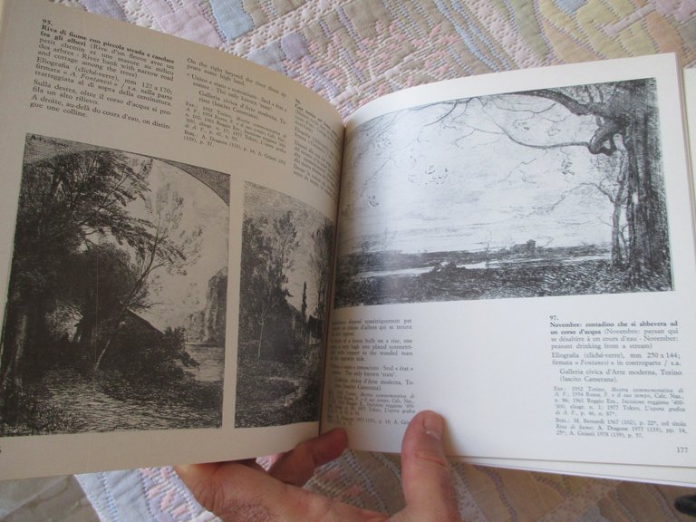 Antonio Fontanesi. L'opera grafica.