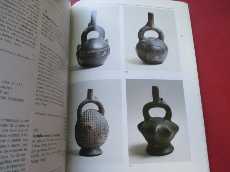 Bologna e il Mondo Nuovo.