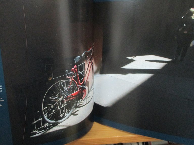 Bologna magica. Per scoprire una città da sogno.