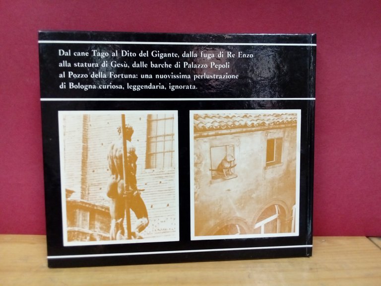Bologna per la strada. Leggende e curiosità. Prima serie. | Immagine Gallery 2