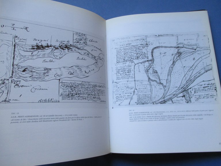 Borgo Panigale. Da villaggio mesolitico a quartiere cittadino.