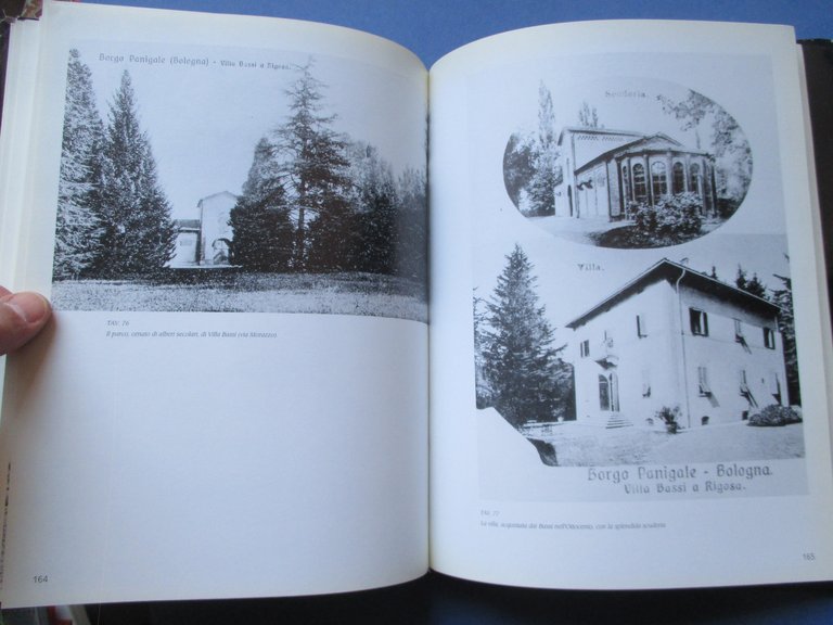 Borgo Panigale. Da villaggio mesolitico a quartiere cittadino.