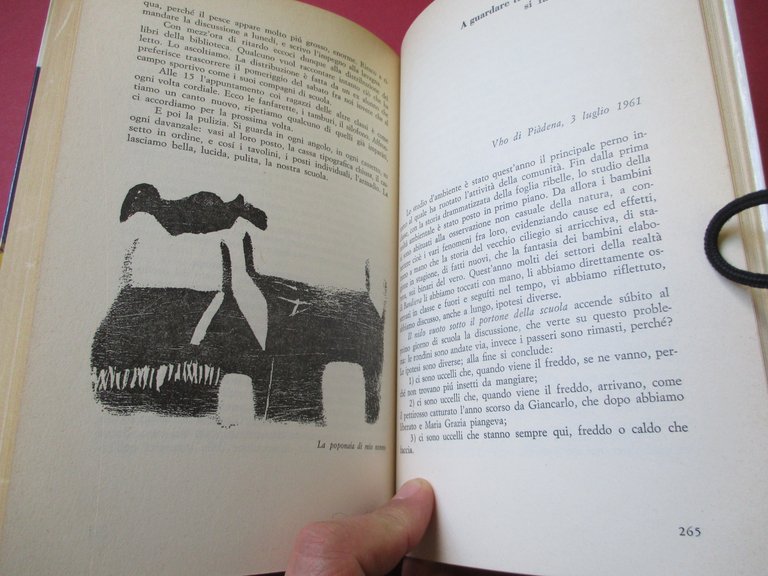 C'è speranza se questo accade al Vho. Pagine di diario.