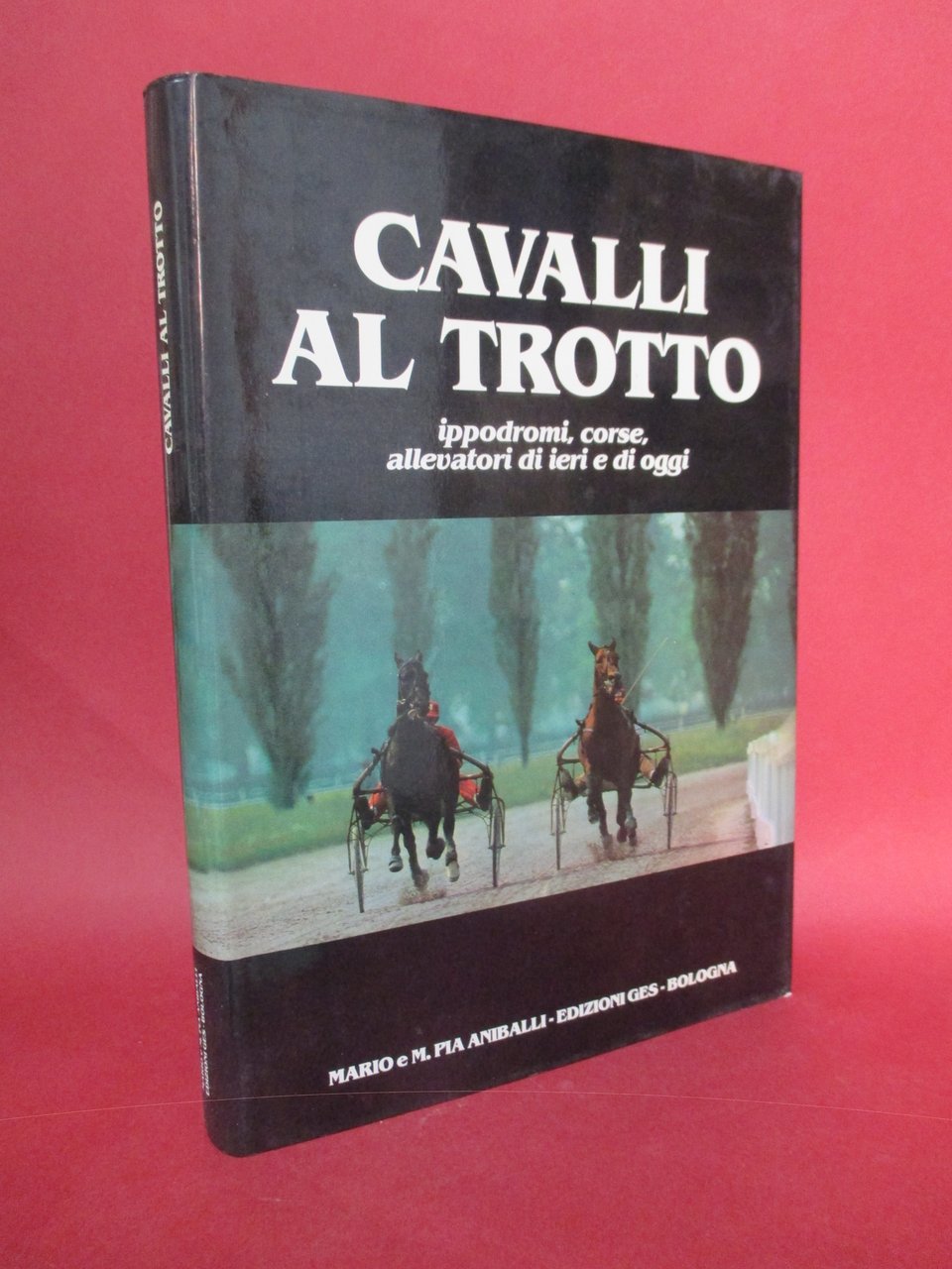 Cavalli al trotto.