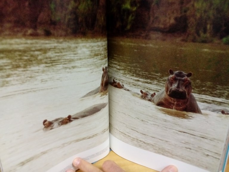 Certe Afriche. Storie e geografie di un amore. | Immagine Gallery 4