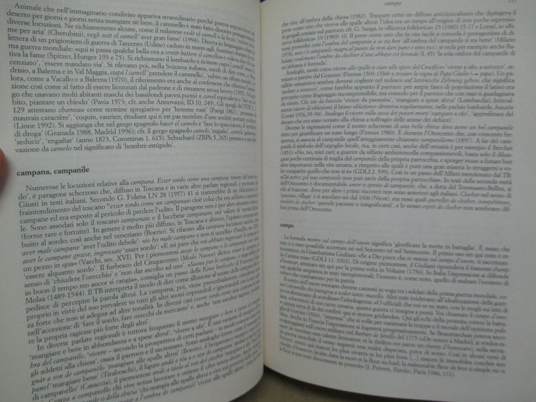 Dizionario dei modi di dire.