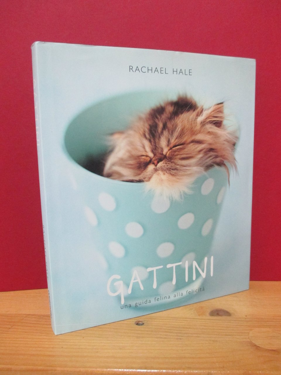 Gattini. Una guida felina alla felicità.