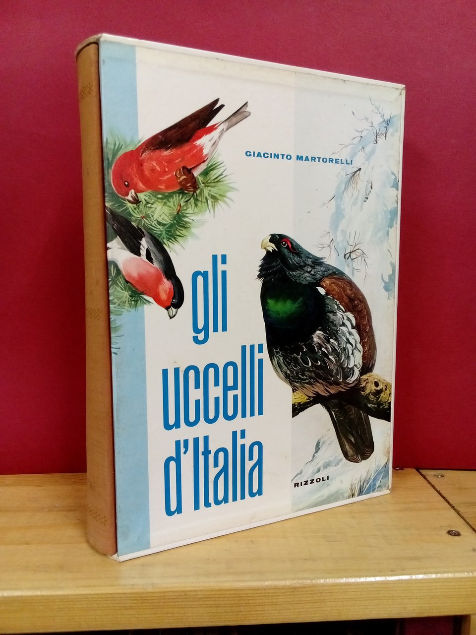Gli uccelli d'Italia. | Immagine principale