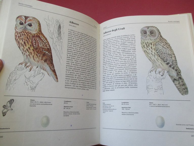 Grande atlante degli uccelli europei.