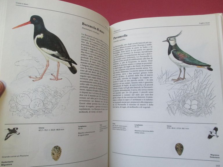 Grande atlante degli uccelli europei.