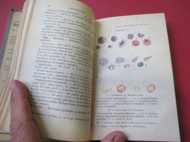 Hematologie et cytologie cliniques.